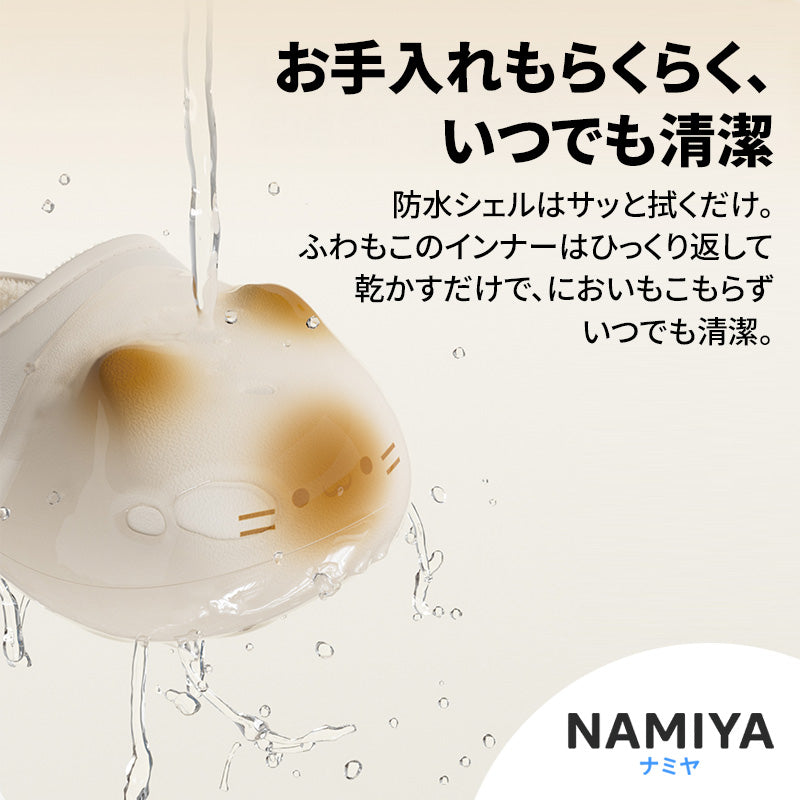 アシニャンスリ