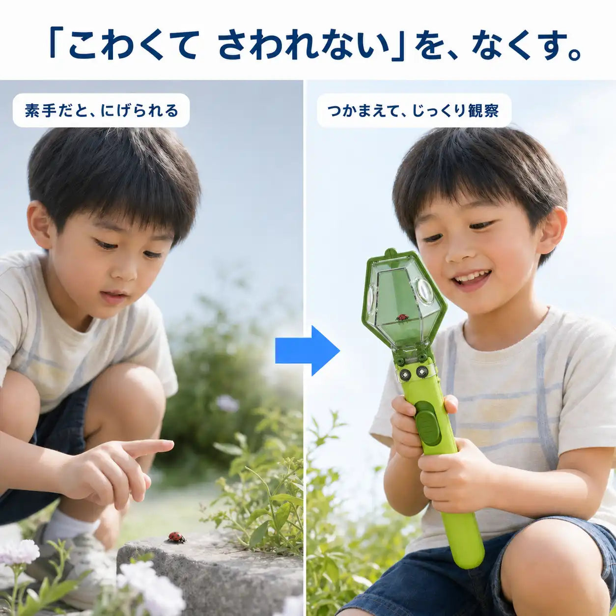 NMY ムシミッケ