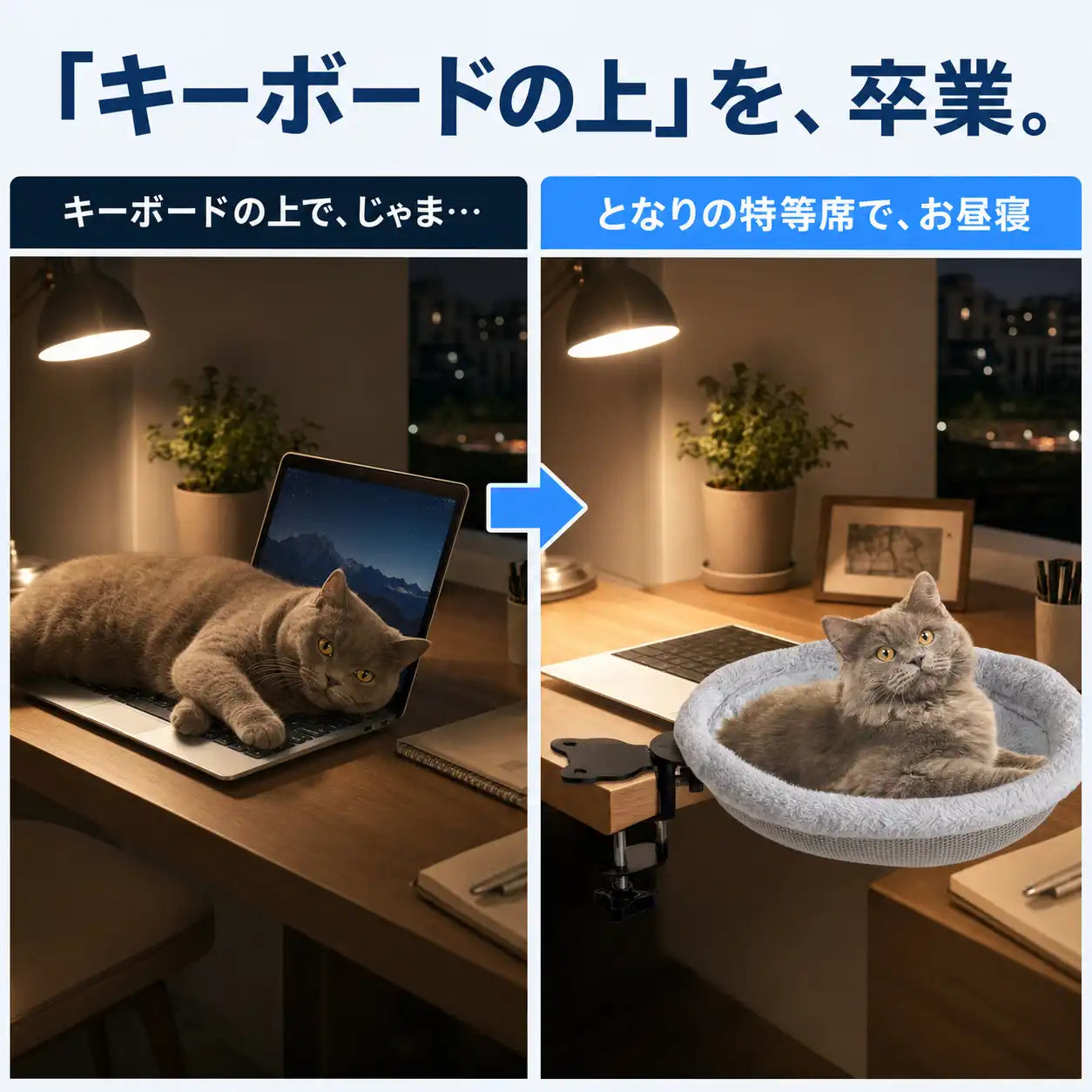 NMY デスクにゃん