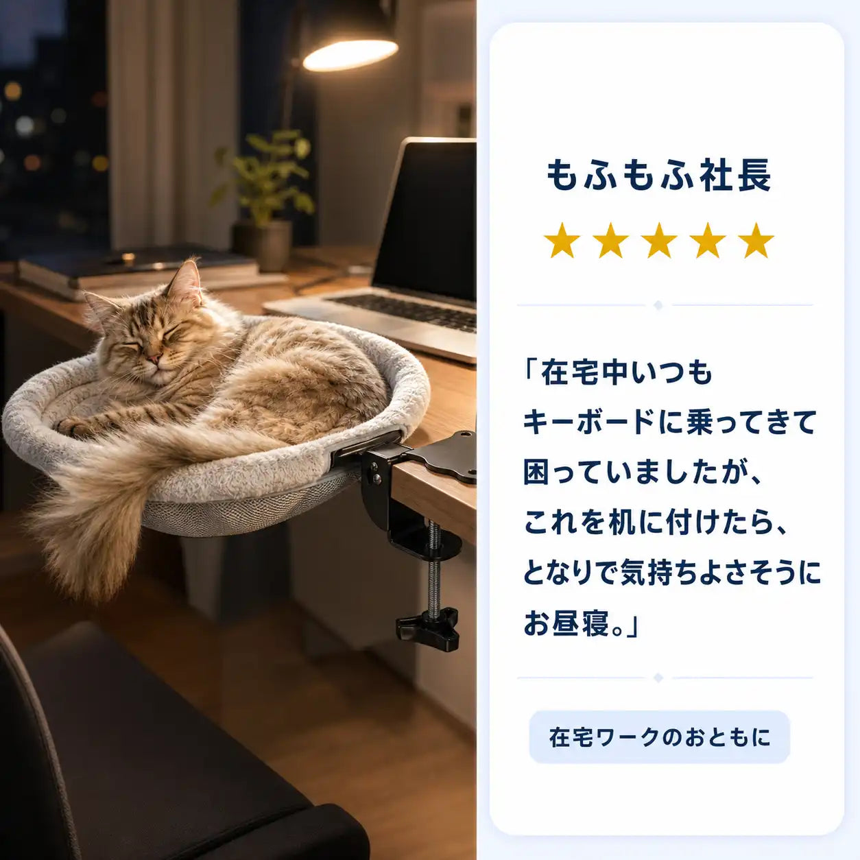 NMY デスクにゃん