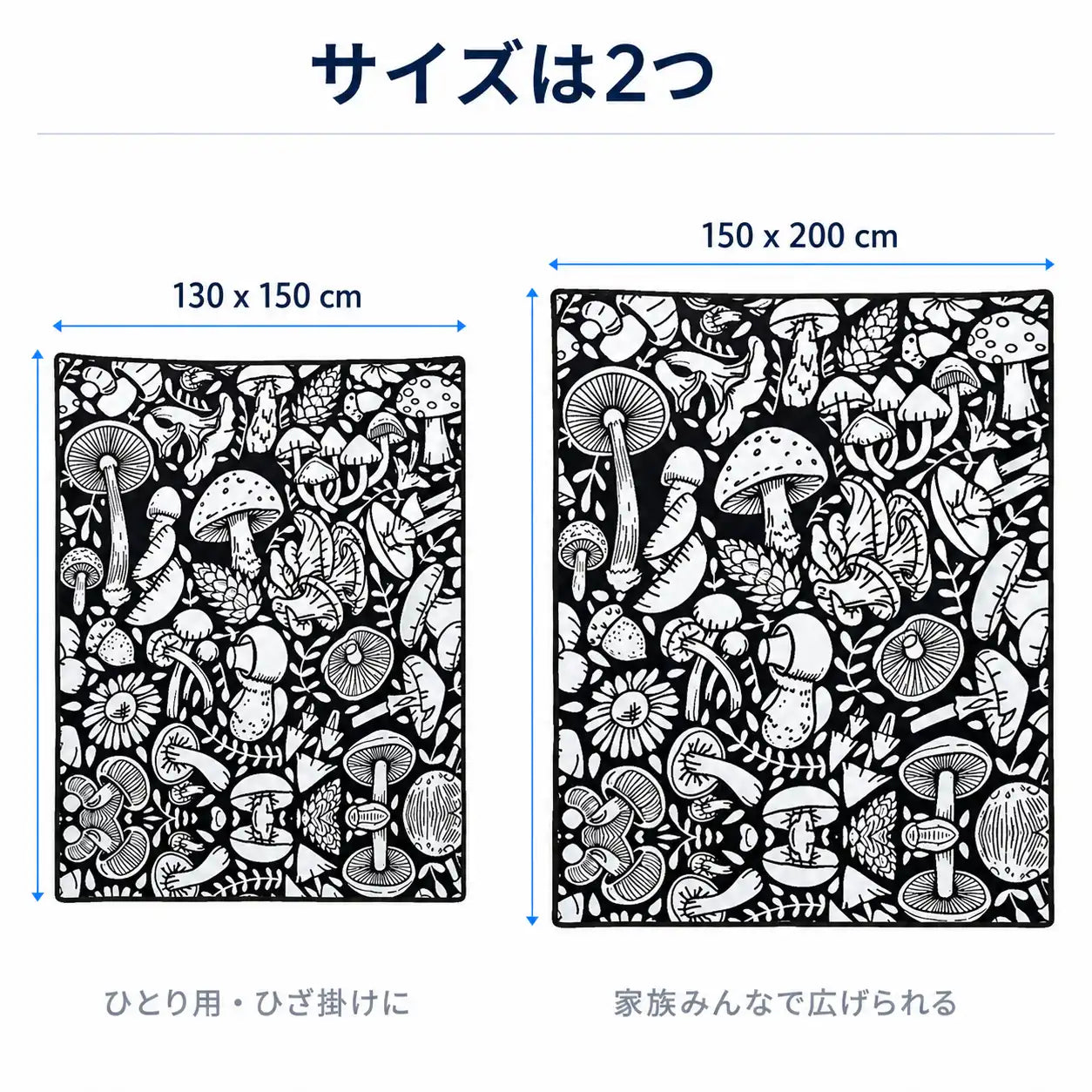 NMY イロドリケット