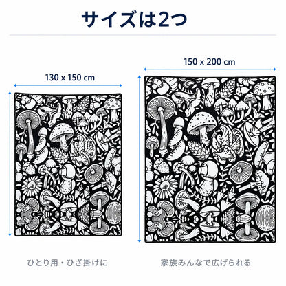 NMY イロドリケット