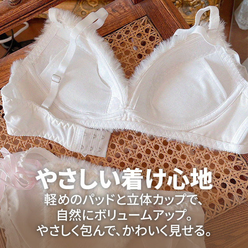 テディプラッシュ ブラセット